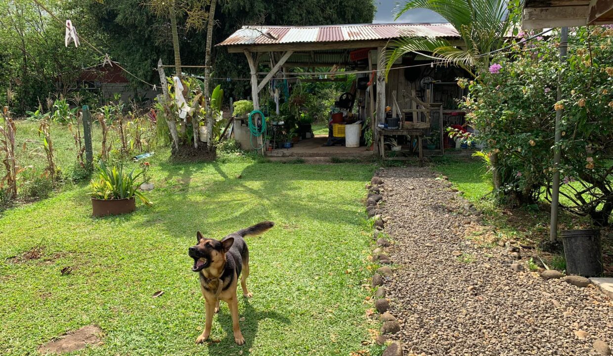 Sona Fluca House for sale home for sale la fortuna costa rica real estate arenal volcano hot springs