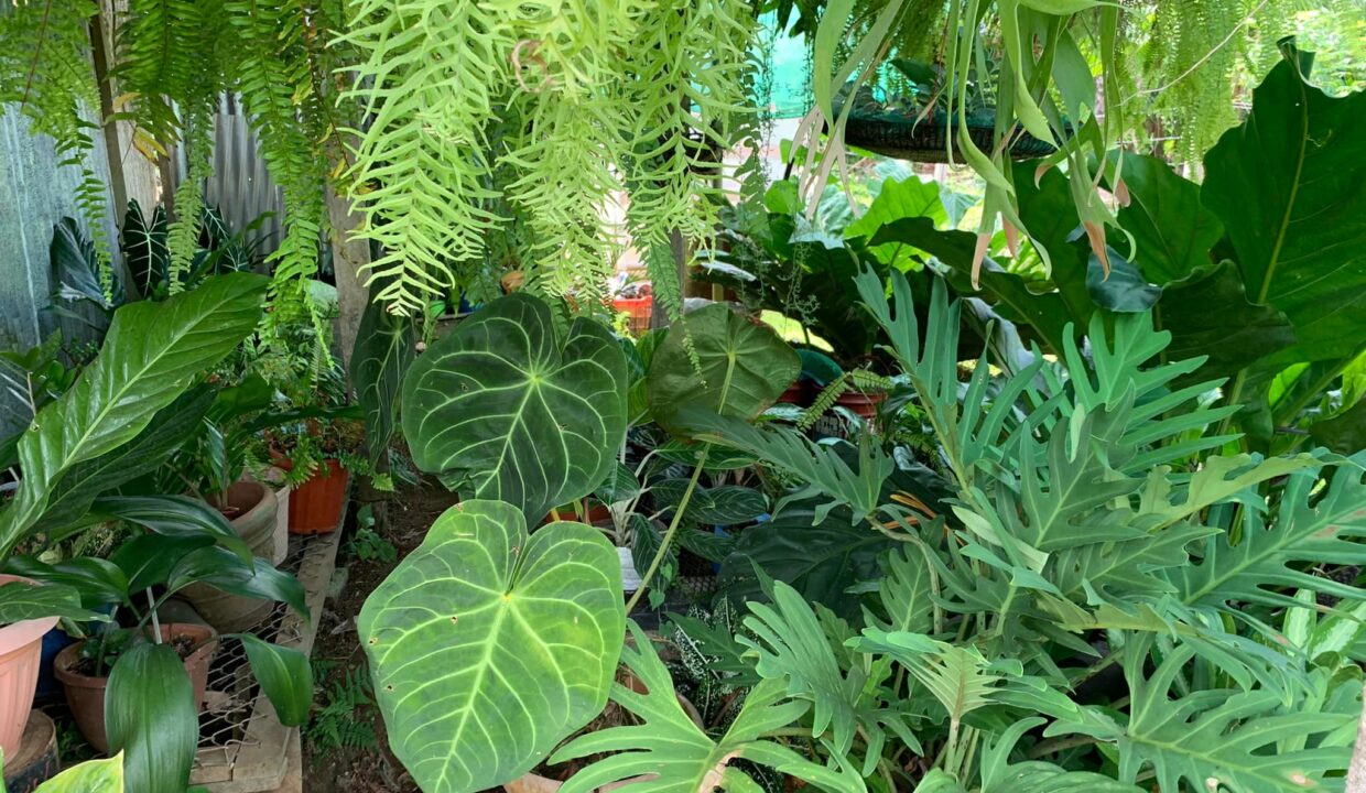 Sona Fluca House for sale home for sale la fortuna costa rica real estate arenal volcano hot springs