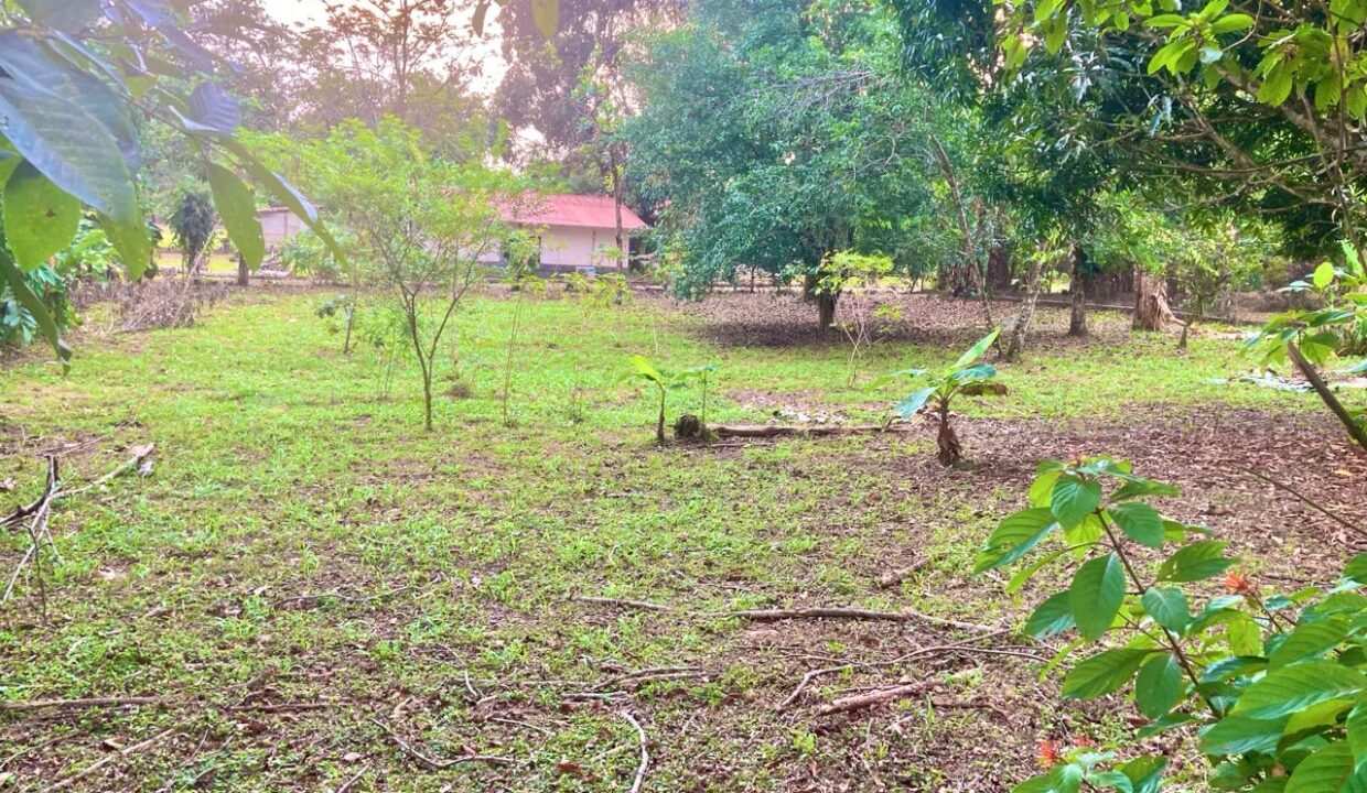 WhatsApp Image 2024-03-11 at 7.42.12 PM