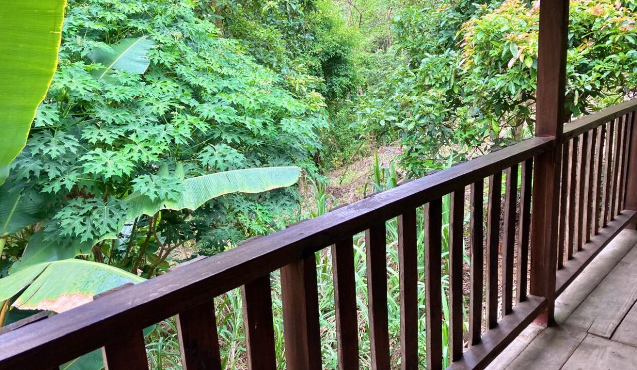 Jauuri La Fortuna Mountain