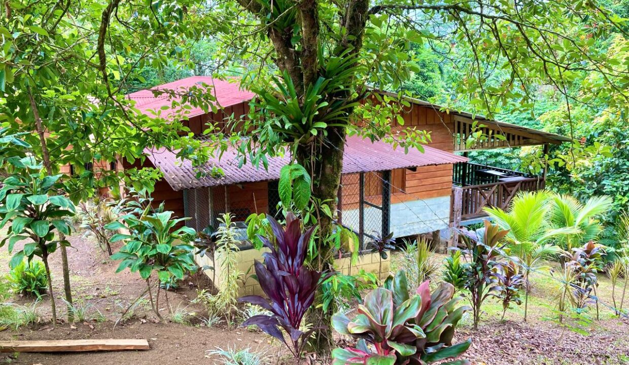 Jauuri La Fortuna Mountain