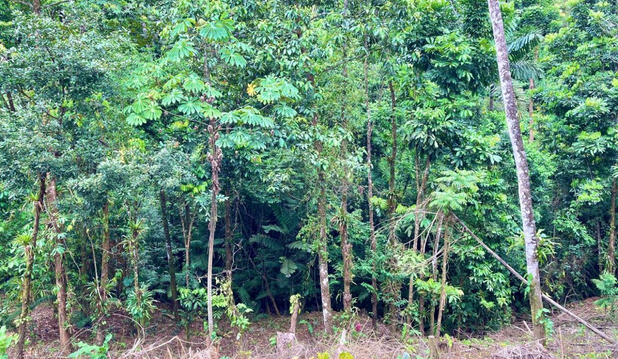 property home land for sale la fortuna costa rica real estate arenal volcano hot springs mountain