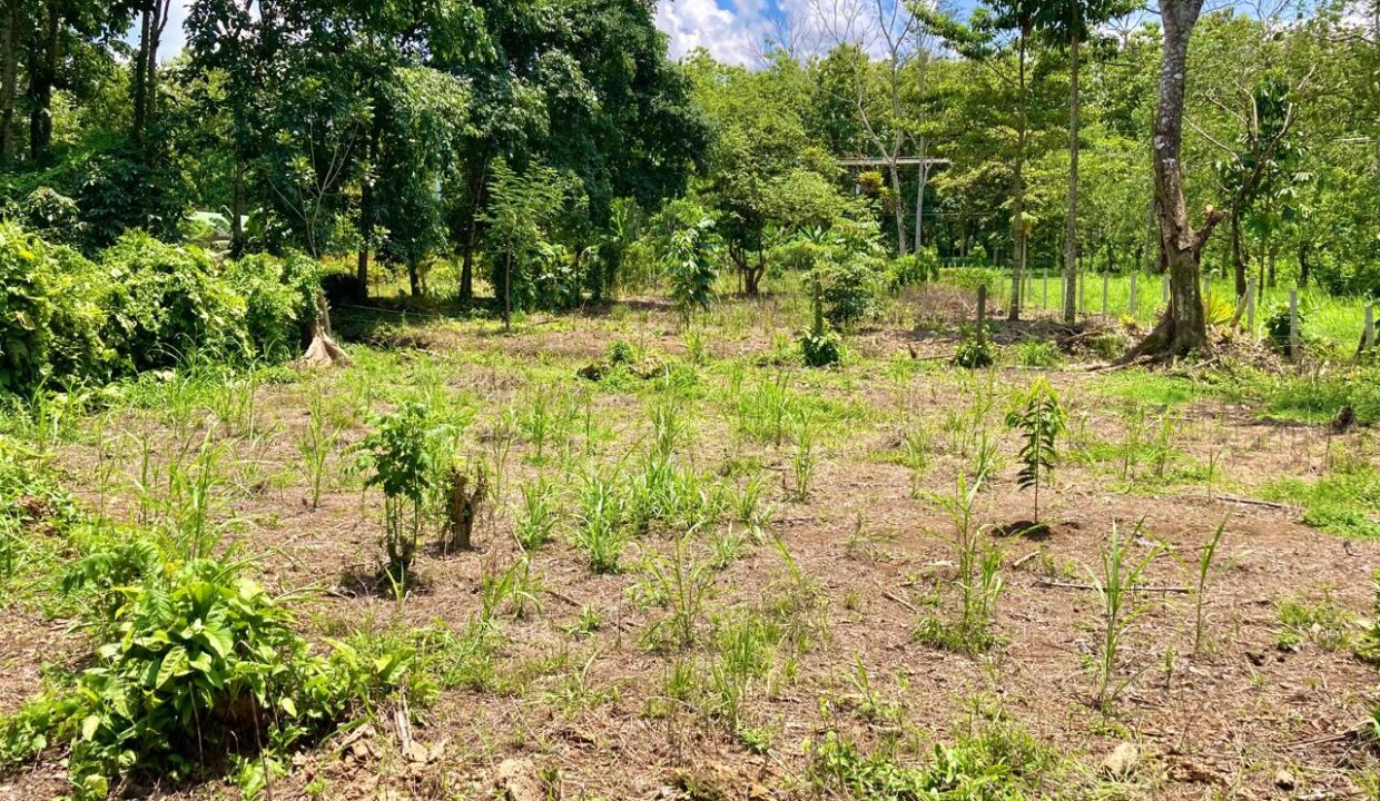 Los Angeles La Fortuna