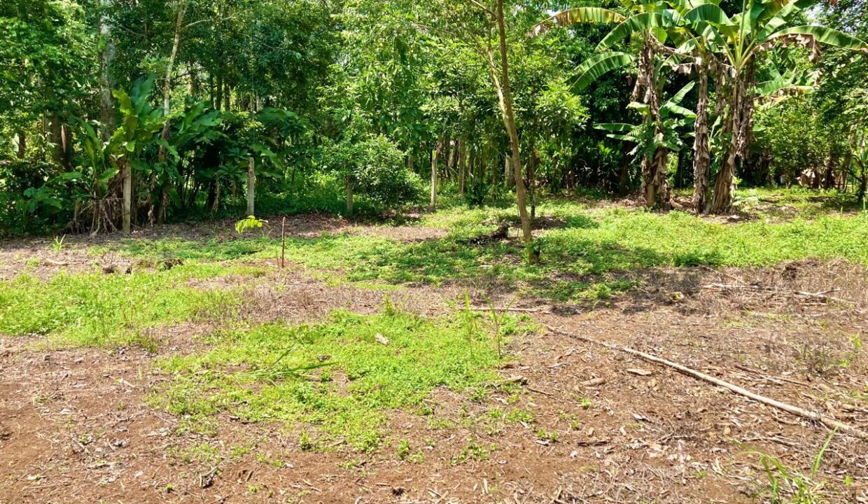 Los Angeles La Fortuna