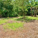 land for sale la fortuna costa rica real estate arenal volcano hot springs mountain