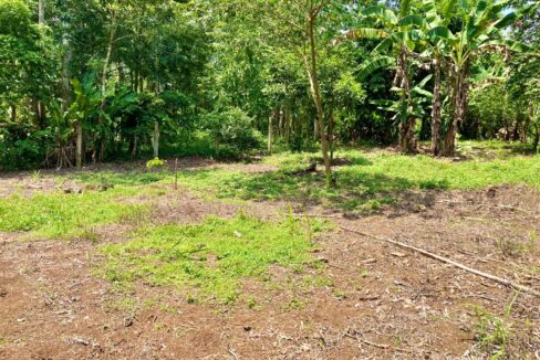 land for sale la fortuna costa rica real estate arenal volcano hot springs mountain