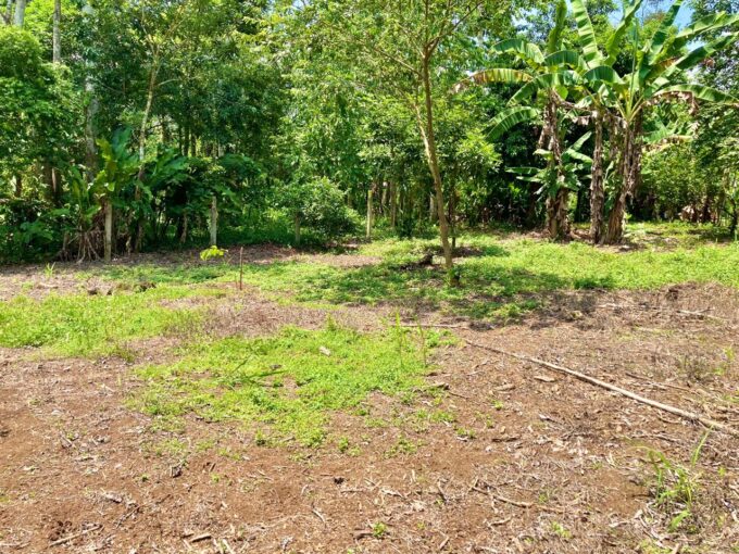 land for sale la fortuna costa rica real estate arenal volcano hot springs mountain