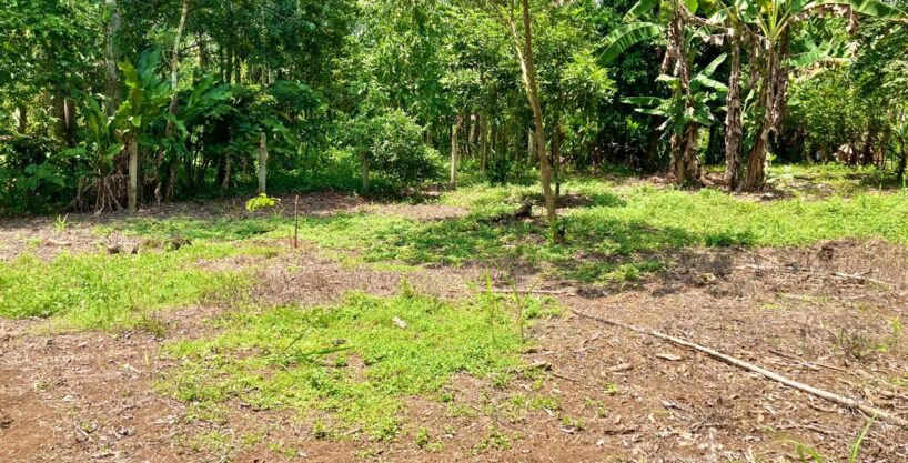 land for sale la fortuna costa rica real estate arenal volcano hot springs mountain