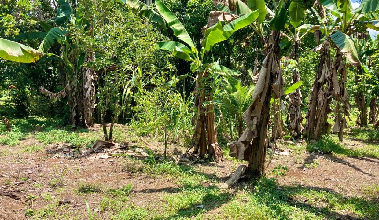 Los Angeles La Fortuna