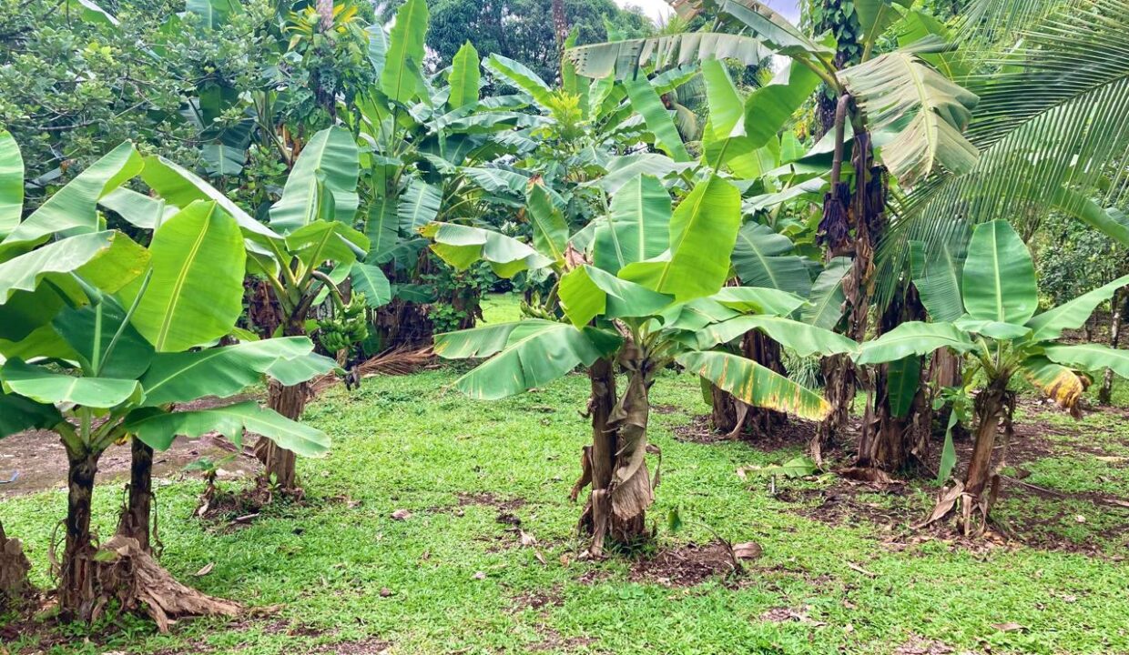 penas blancas house for sale la fortuna costa rica real estate arenal volcano hot springs canal chachagua