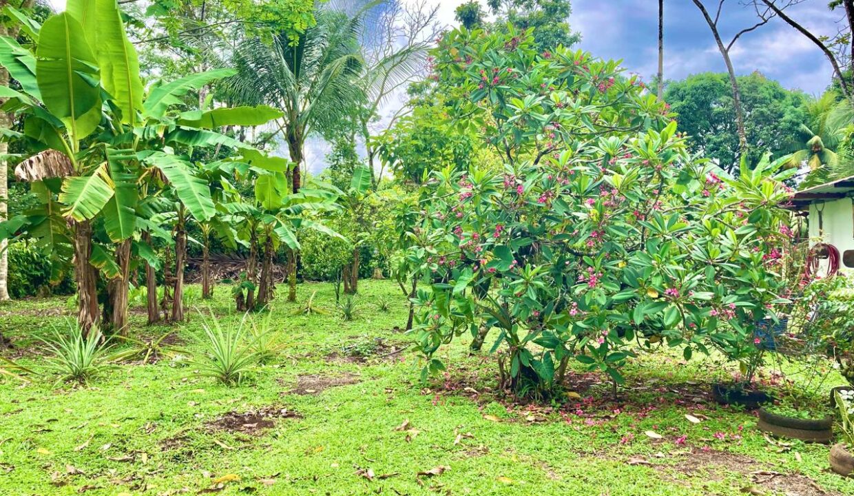 penas blancas house for sale la fortuna costa rica real estate arenal volcano hot springs canal chachaguahouse for sale la fortuna costa rica real estate arenal volcano hot springs canal chachagua