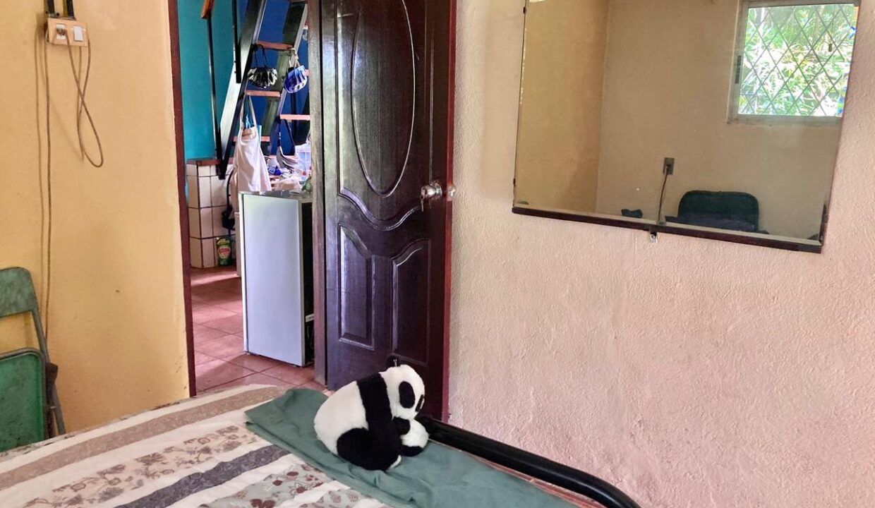 income property airbnb for sale la fortuna costa rica real estate arenal volcano hot springs mountain