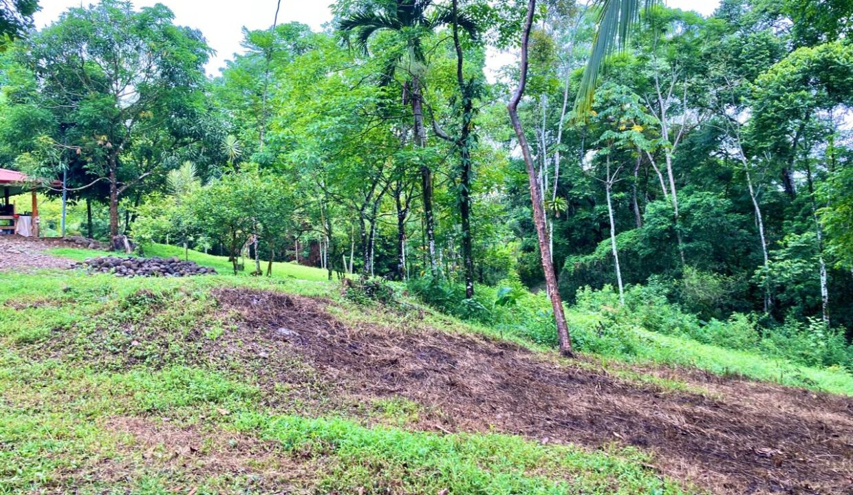 secluded house for sale river la fortuna costa rica real estate arenal volcano hot springs canal chachagua