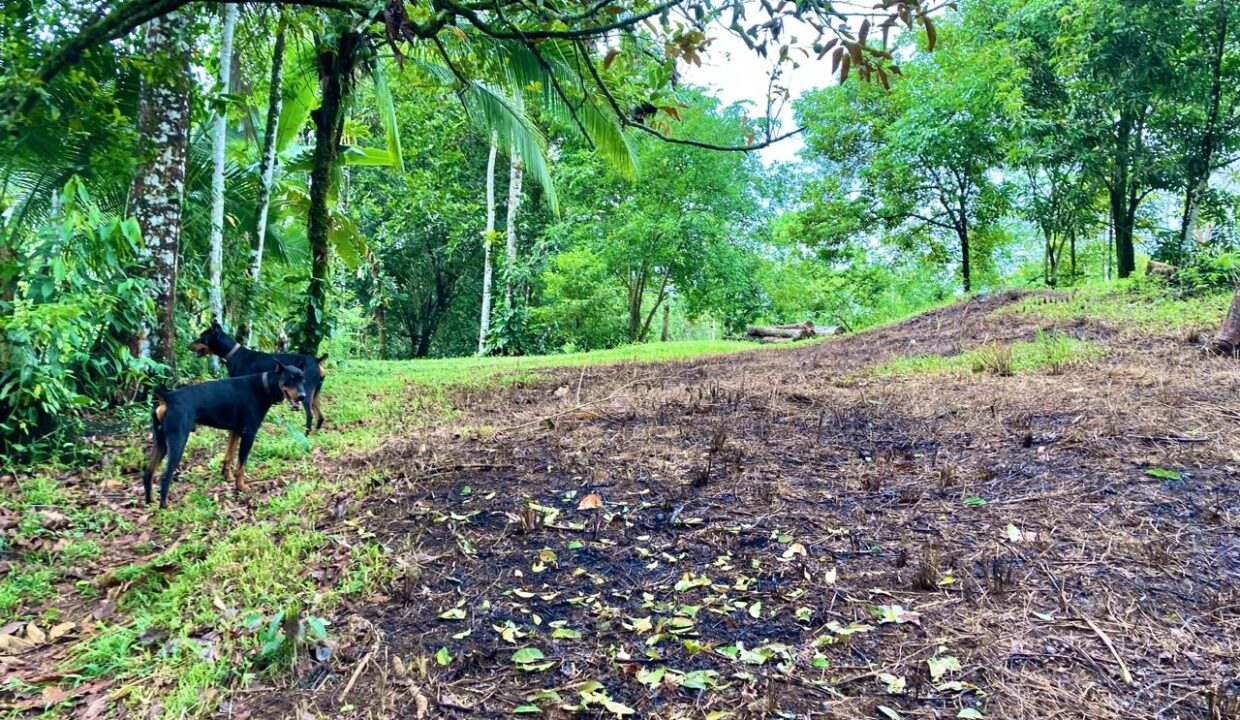 Chachagua La Fortuna
