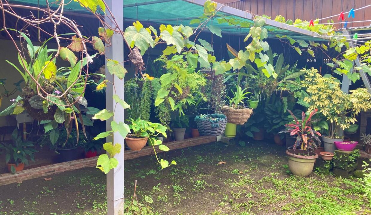 La Fortuna Income Property