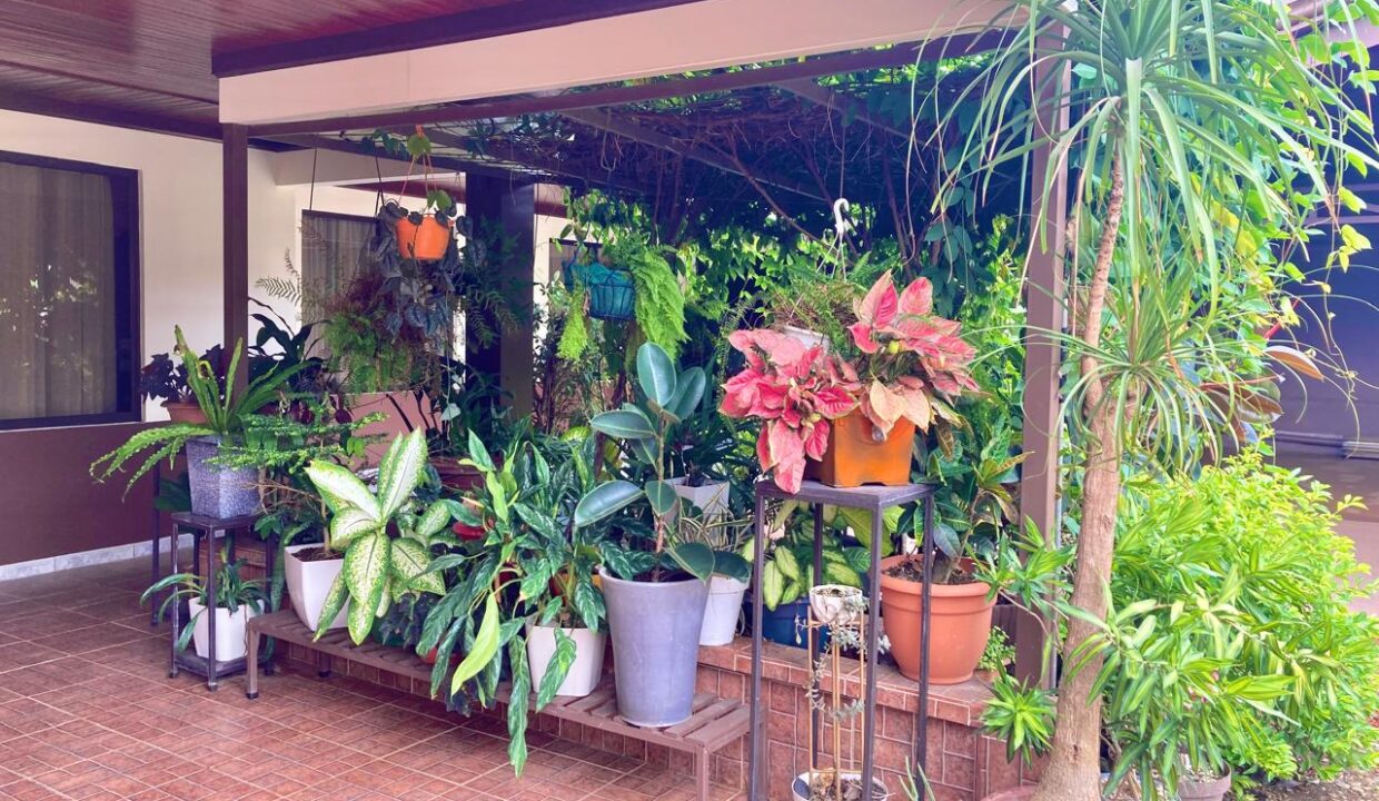 La Fortuna Income Property