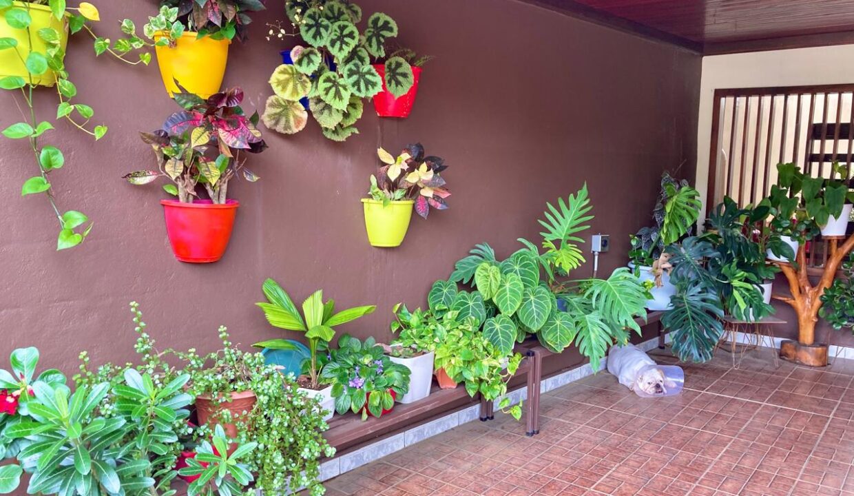 La Fortuna Income Property