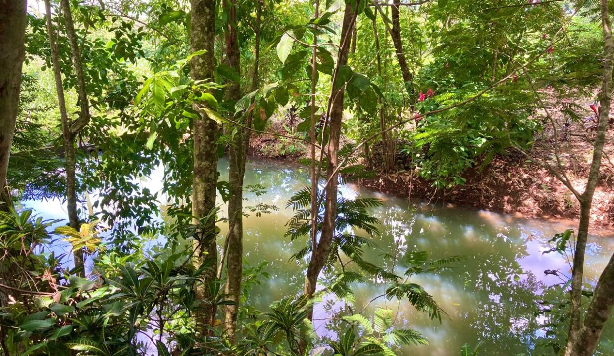 Natural Mineral Pond with Arenal Volcano Views – Rental Property in Chachagua near La Fortuna