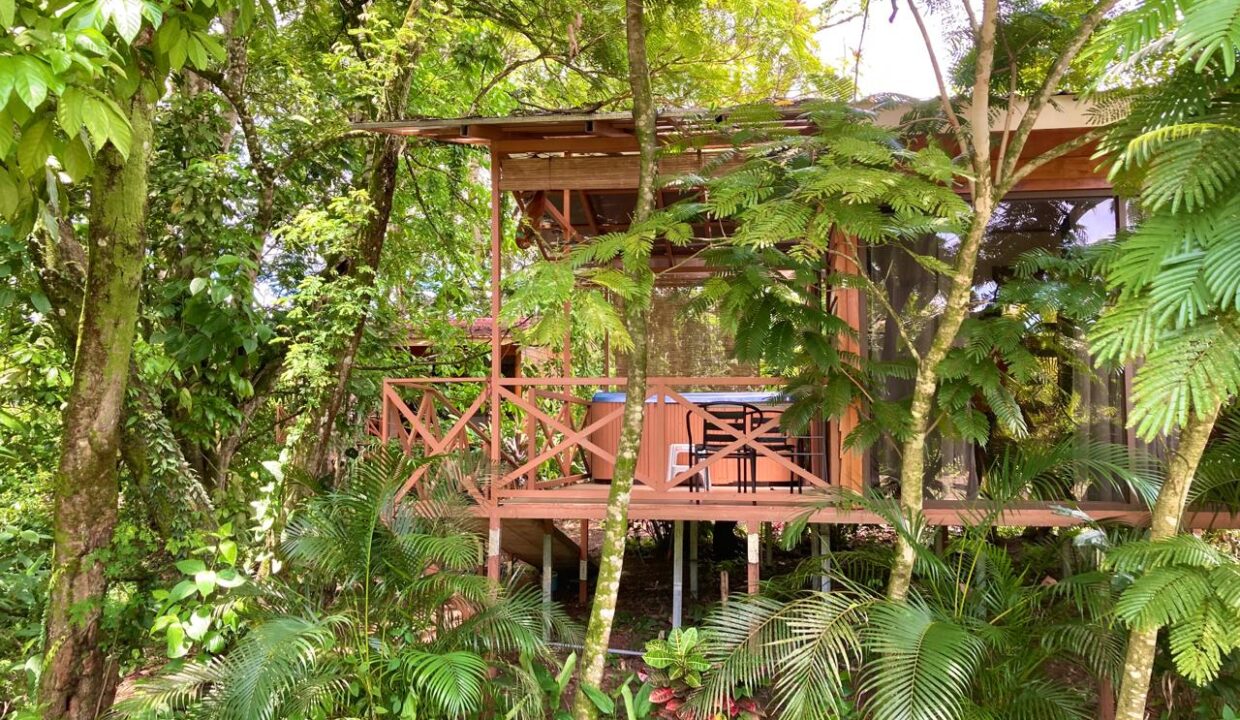 Cedar Wood Studio Cabin with Private Jacuzzi and Arenal Volcano Views – Chachagua Rental Near La Fortuna