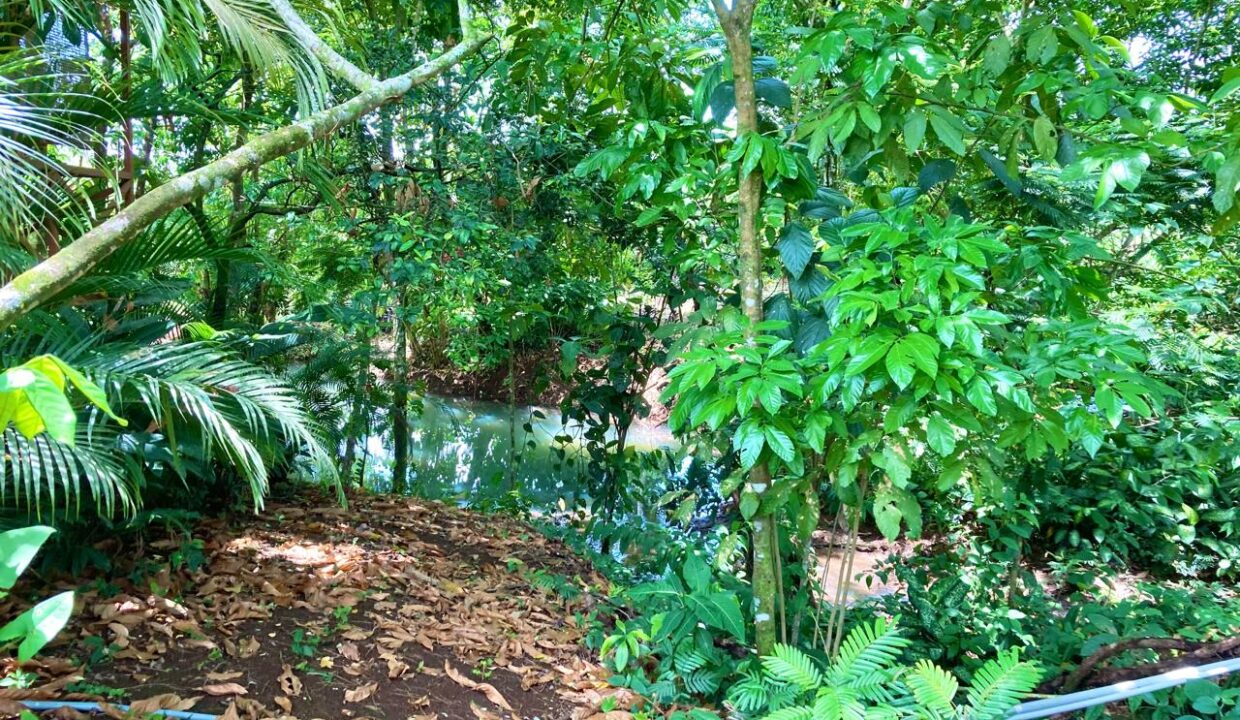 Natural Mineral Pond with Arenal Volcano Views – Rental Property in Chachagua near La Fortuna