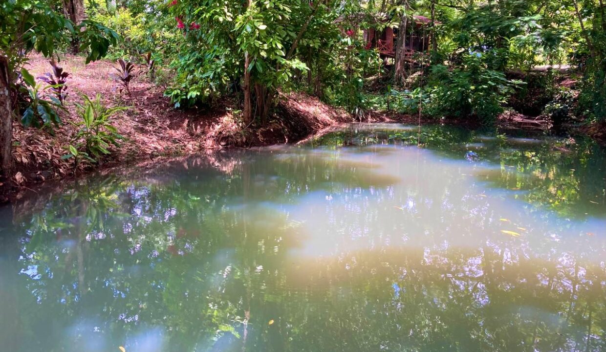 Natural Mineral Pond with Arenal Volcano Views – Rental Property in Chachagua near La Fortuna