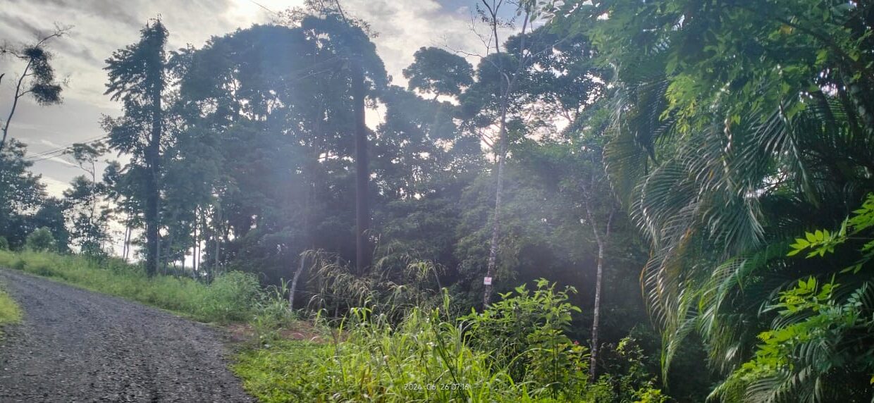 Chachagua River la fortuna costa rica real estate arenal volcano hot springs land with river for sale