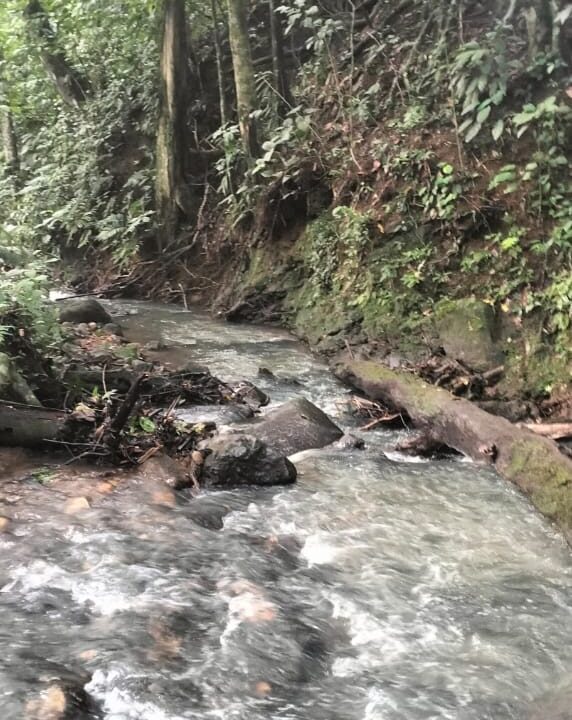 la fortuna costa rica real estate arenal volcano hot springs land with river for sale