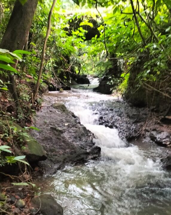 la fortuna costa rica real estate arenal volcano hot springs land with river for sale