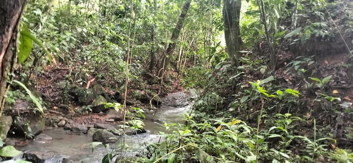 la fortuna costa rica real estate arenal volcano hot springs land with river for sale