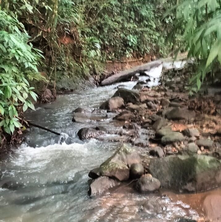 Chachagua River la fortuna costa rica real estate arenal volcano hot springs land with river for sale