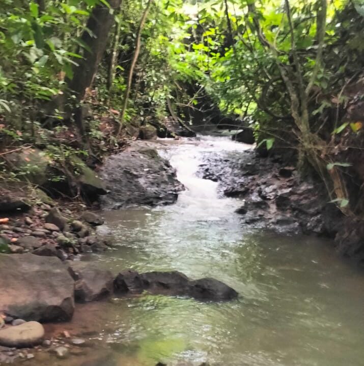 Chachagua River la fortuna costa rica real estate arenal volcano hot springs land with river for sale