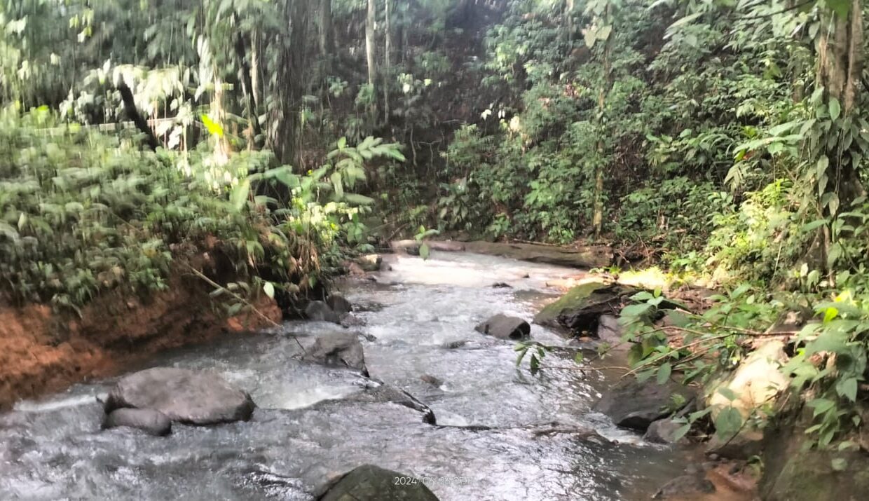 Chachagua River la fortuna costa rica real estate arenal volcano hot springs land with river for sale