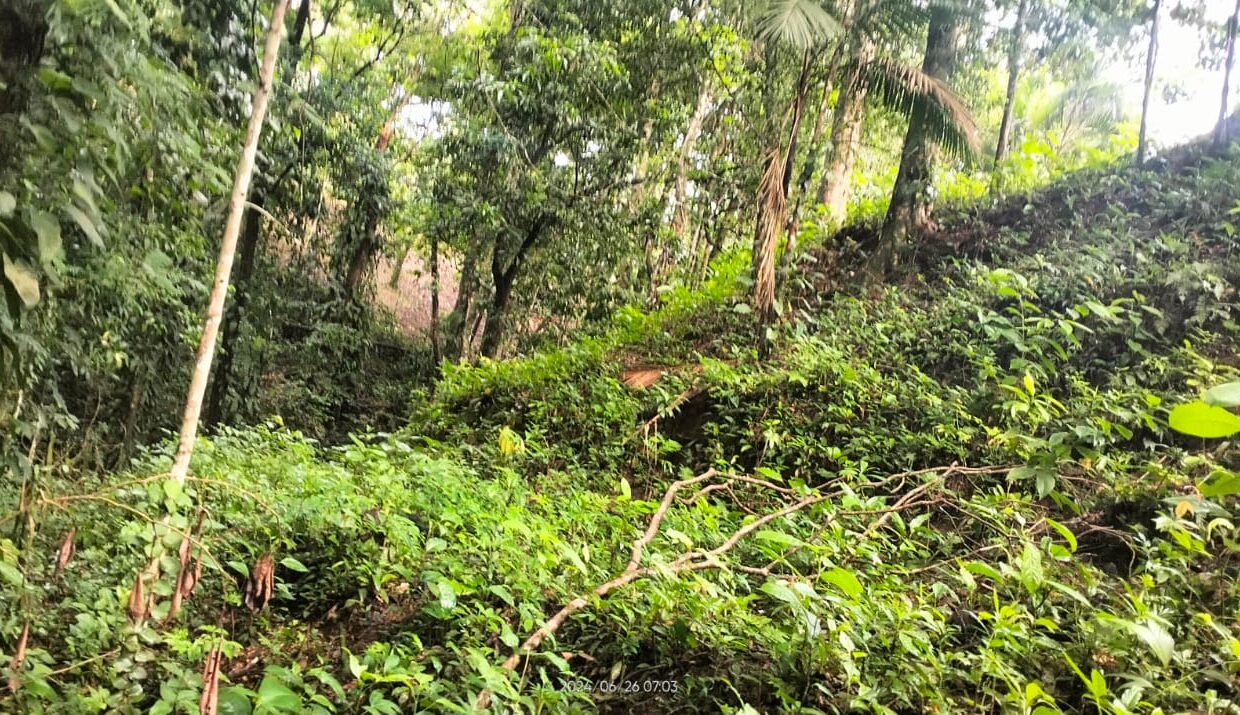 la fortuna costa rica real estate arenal volcano hot springs land with river for sale