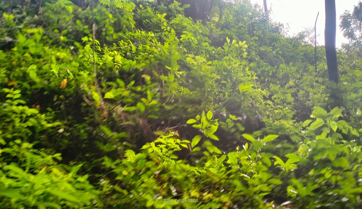 la fortuna costa rica real estate arenal volcano hot springs land with river for sale