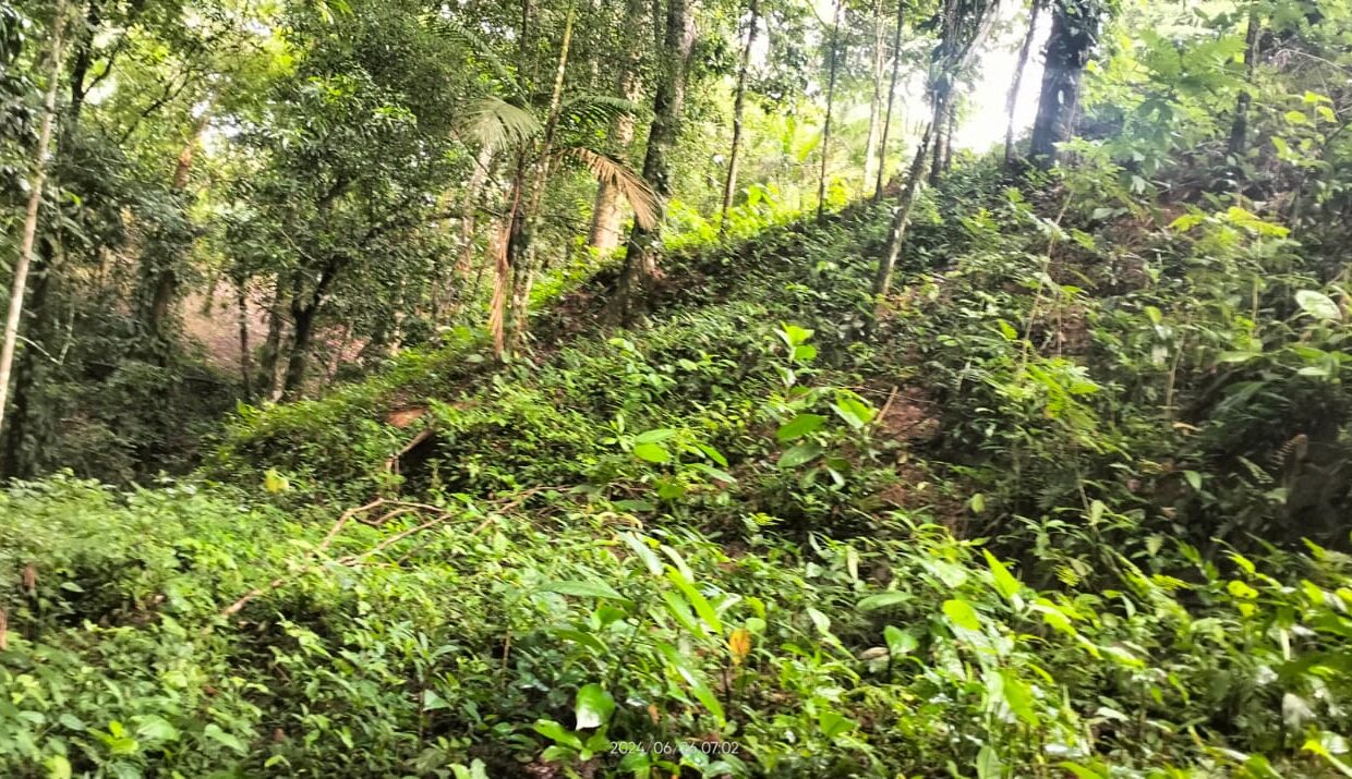 la fortuna costa rica real estate arenal volcano hot springs land with river for sale