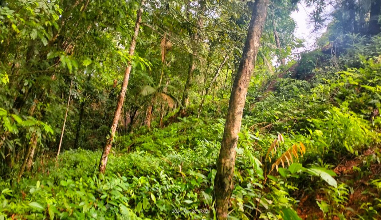 la fortuna costa rica real estate arenal volcano hot springs land with river for sale