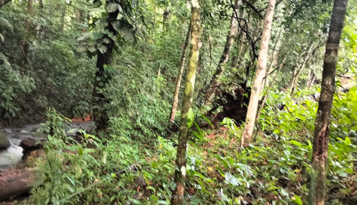 la fortuna costa rica real estate arenal volcano hot springs land with river for sale