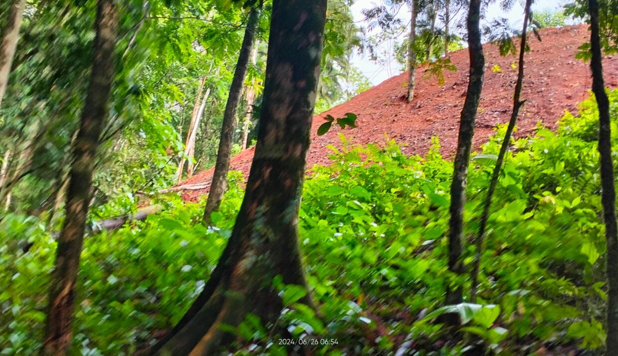 la fortuna costa rica real estate arenal volcano hot springs land with river for sale