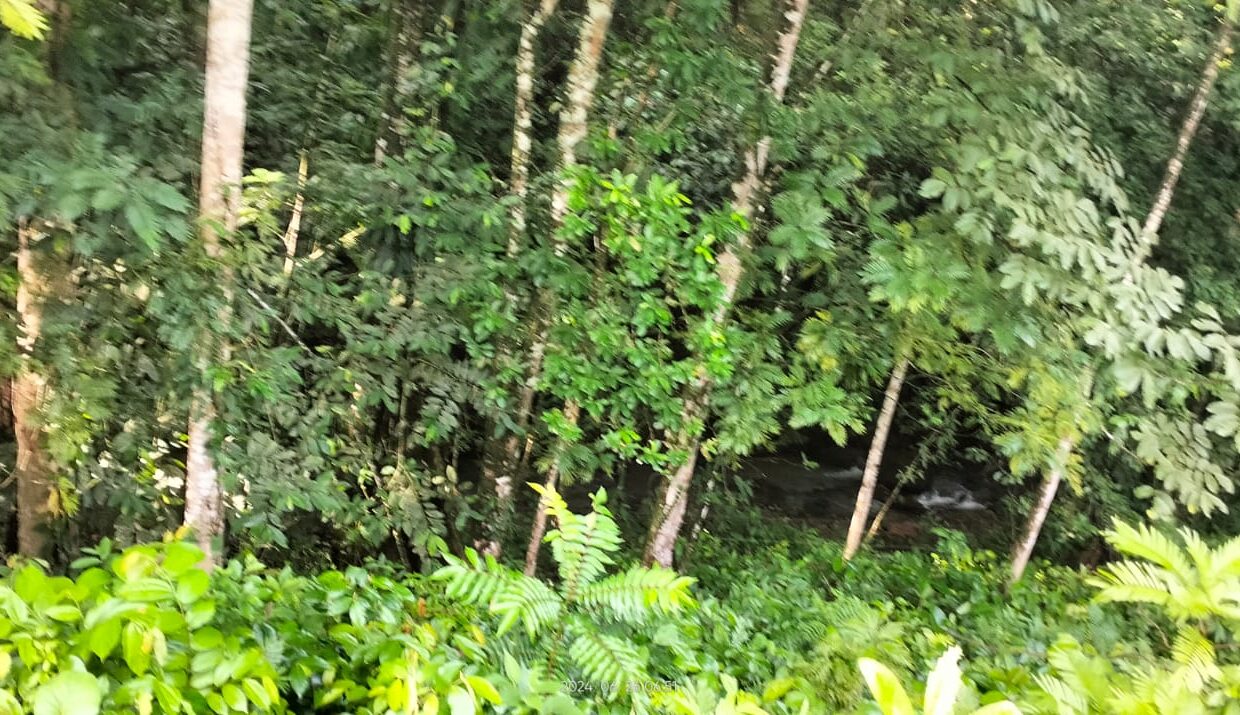 la fortuna costa rica real estate arenal volcano hot springs land with river for sale