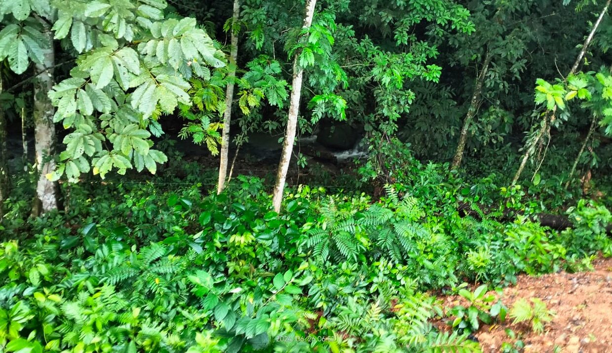 la fortuna costa rica real estate arenal volcano hot springs land with river for sale