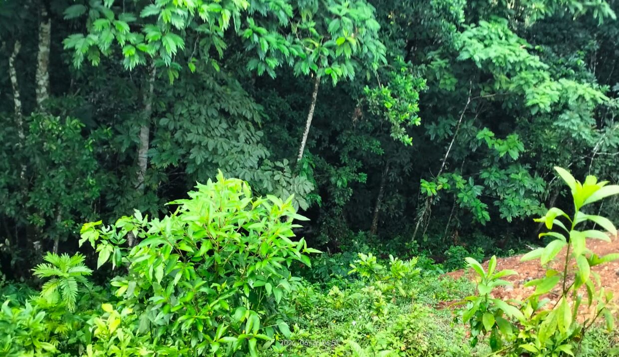 la fortuna costa rica real estate arenal volcano hot springs land with river for sale