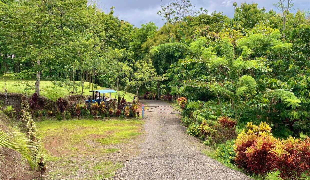 la fortuna costa rica real estate arenal volcano hot springs prime location airbnb income property with river