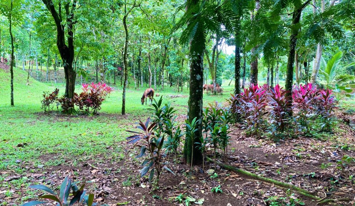 la fortuna costa rica real estate arenal volcano hot springs prime location airbnb income property