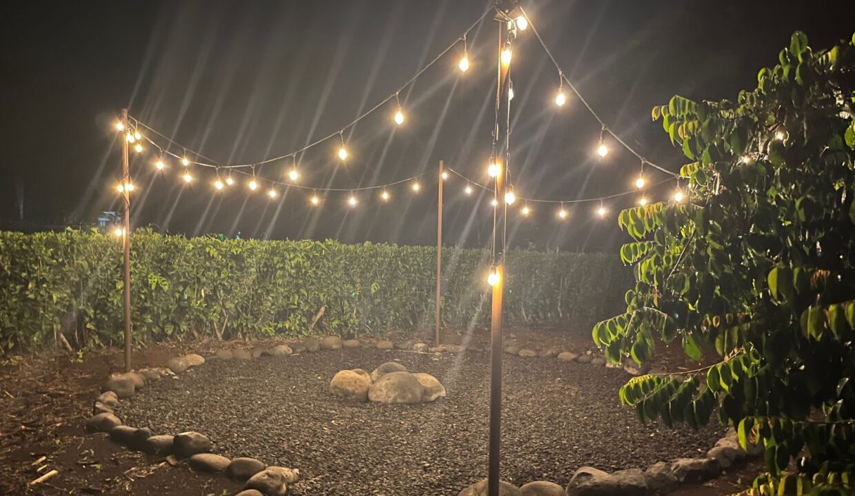 la fortuna costa rica real estate arenal volcano hot springs income property airbnb for sale