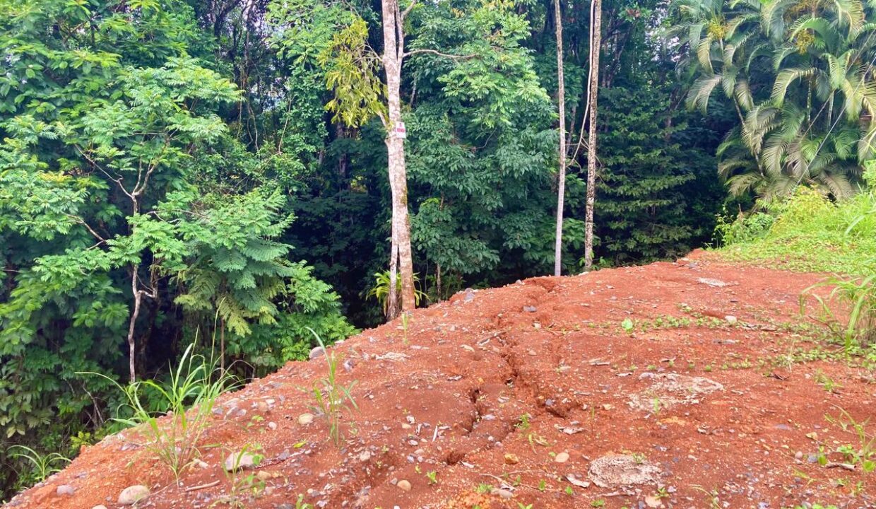 la fortuna costa rica real estate arenal volcano hot springs land with river for sale