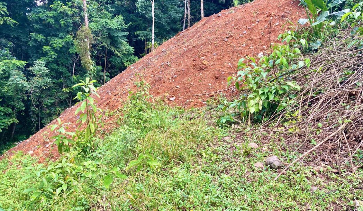 la fortuna costa rica real estate arenal volcano hot springs land with river for sale