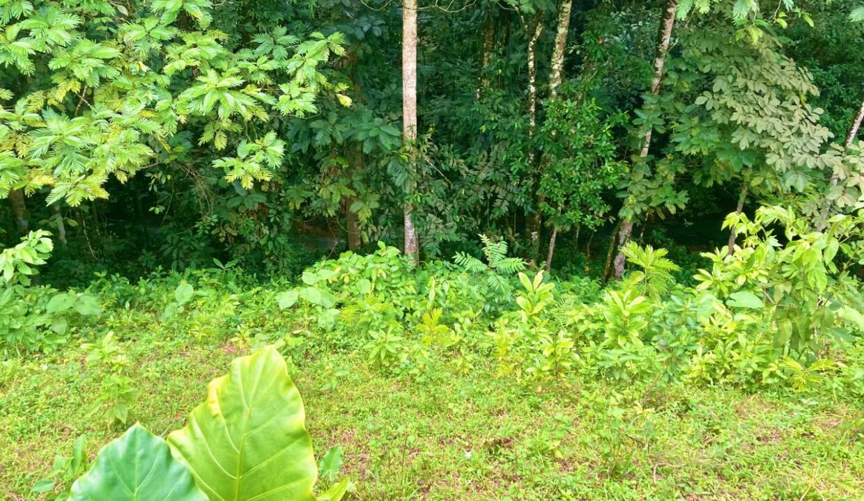 la fortuna costa rica real estate arenal volcano hot springs land with river for sale