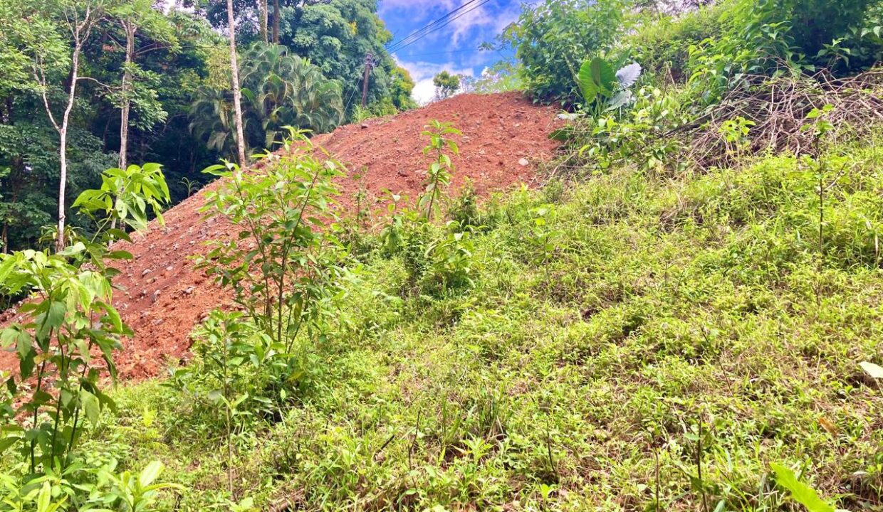 la fortuna costa rica real estate arenal volcano hot springs land with river for sale