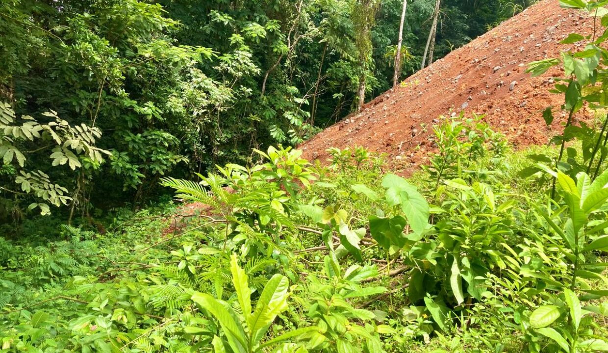 la fortuna costa rica real estate arenal volcano hot springs land with river for sale