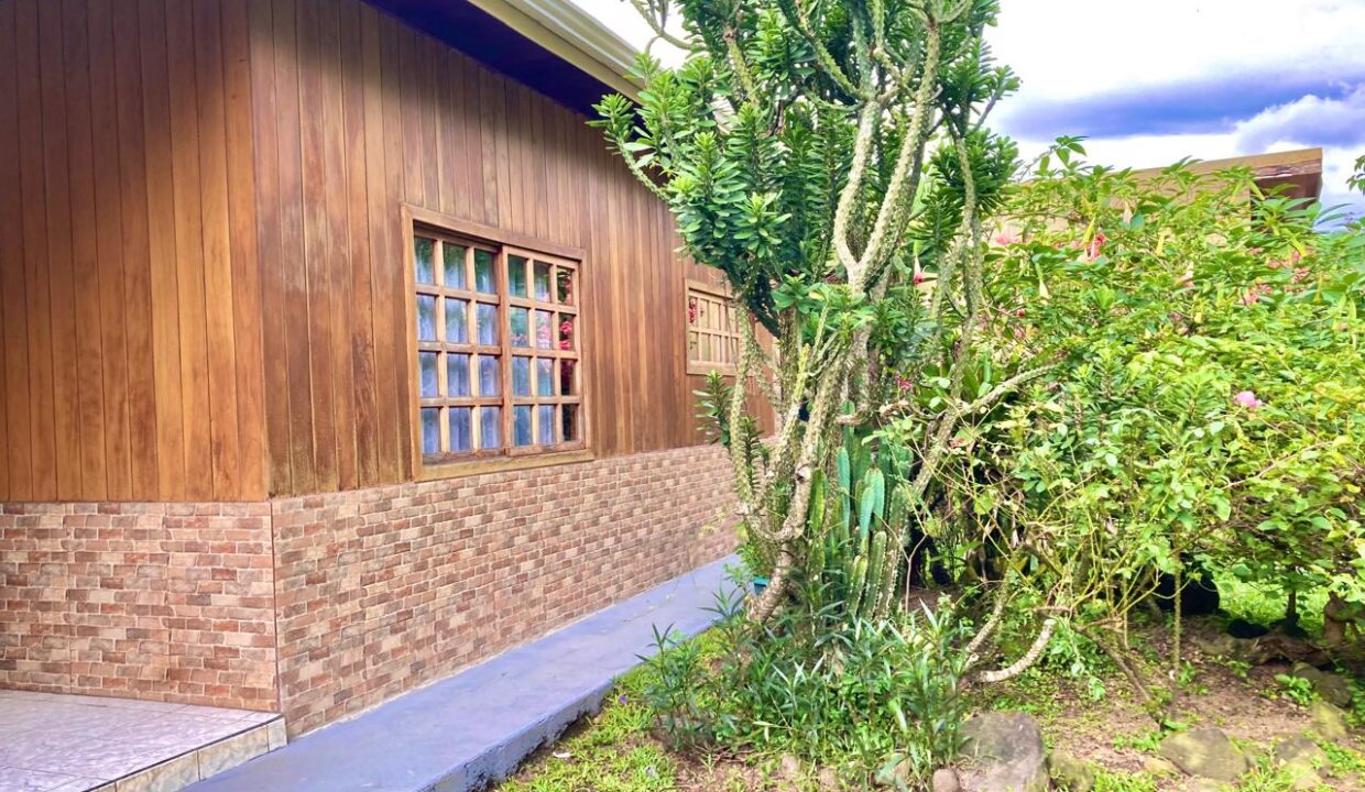 Side View of La Fortuna Costa Rica House with Cactus Plants and Tropical Garden